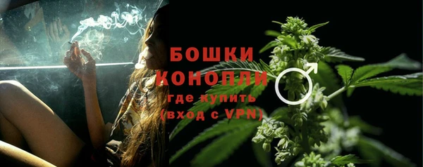 гидра Верхний Тагил