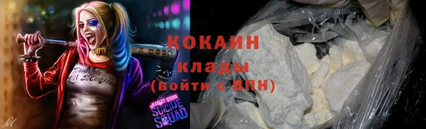 СК Волоколамск