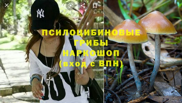 гидра Верхний Тагил