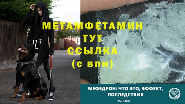 мяу мяу мука Бугульма