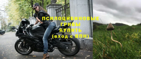 гидра Верхний Тагил