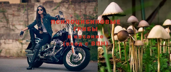 прущая мука Верея