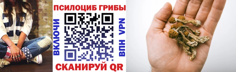 Псилоцибиновые грибы MAGIC MUSHROOMS Минусинск